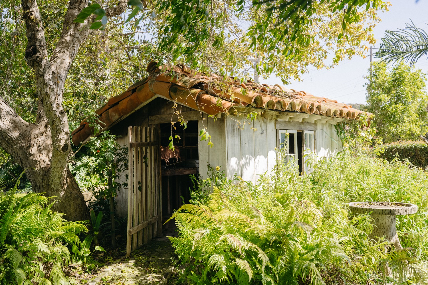 LLoyd-Butler Ranch