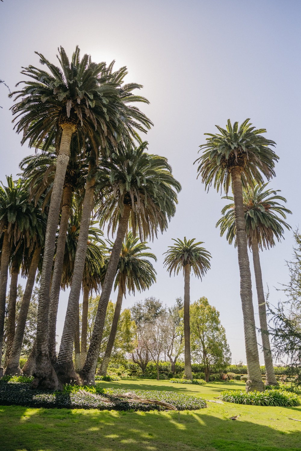 LLoyd-Butler Ranch